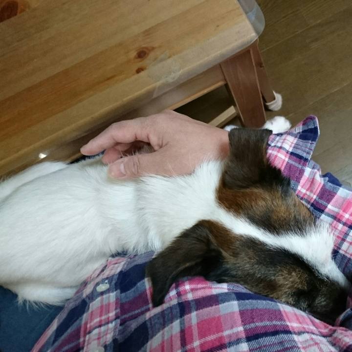 E5e7d12f b579 4e84 84c6 065cf4900d19