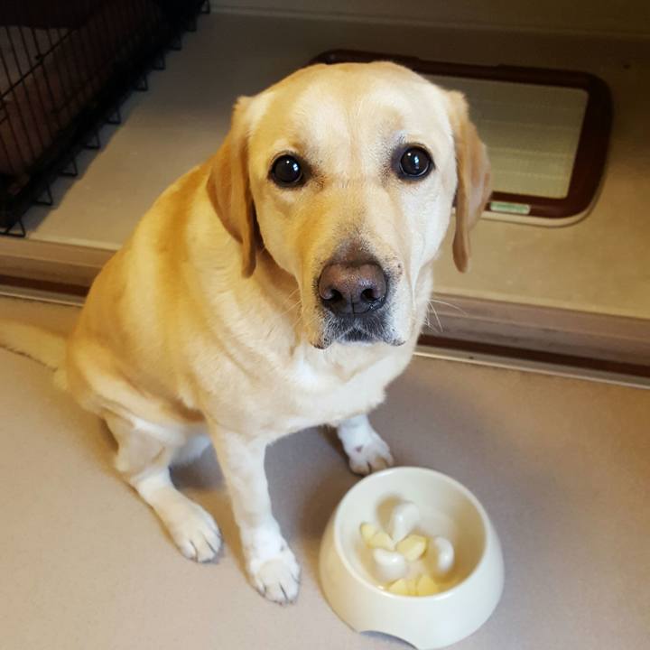 E5e7e2f2 3f35 4bc7 9de7 d72c4c443b39