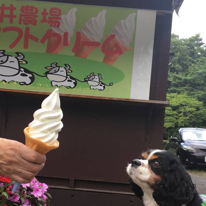 E5e83a6c b603 42c1 9530 6dd4e6f0d80c