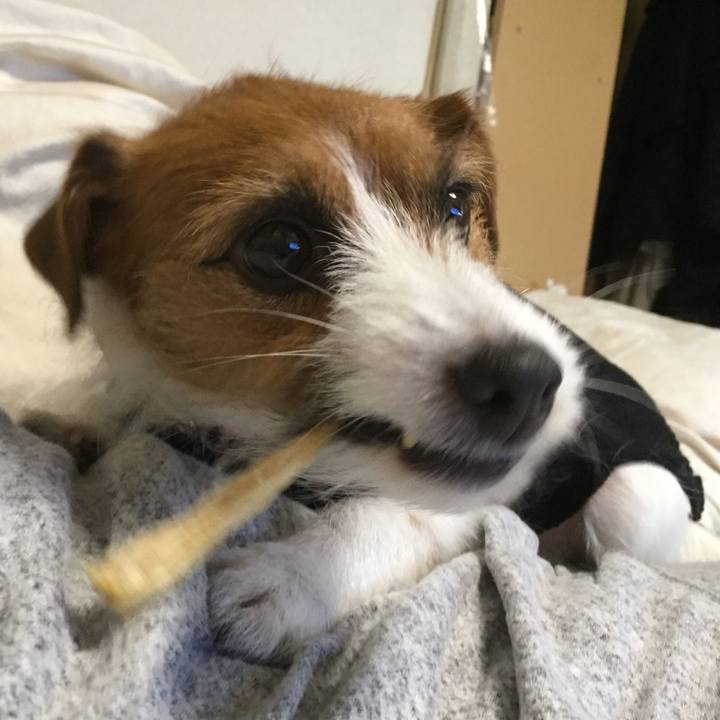 E5e88702 4454 4cb8 afbe f414ca6cf83d