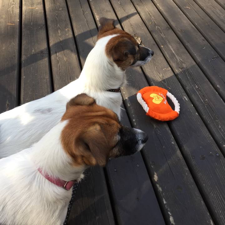 E5e8b127 1f88 40ea 83ce 45d1a761abd1