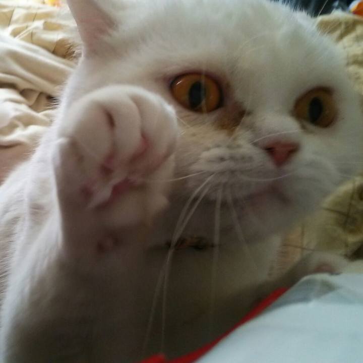 E5e8f31e 9270 4d61 91bd 8f2e9abce324