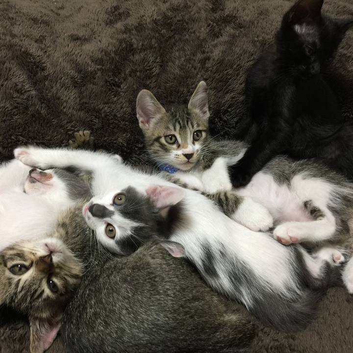 E5e90e12 8299 4c32 a92a a72e6876018f