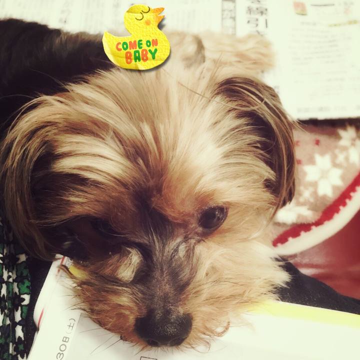 E5e96cc7 ca35 4a94 9dfe 901ca993bed1