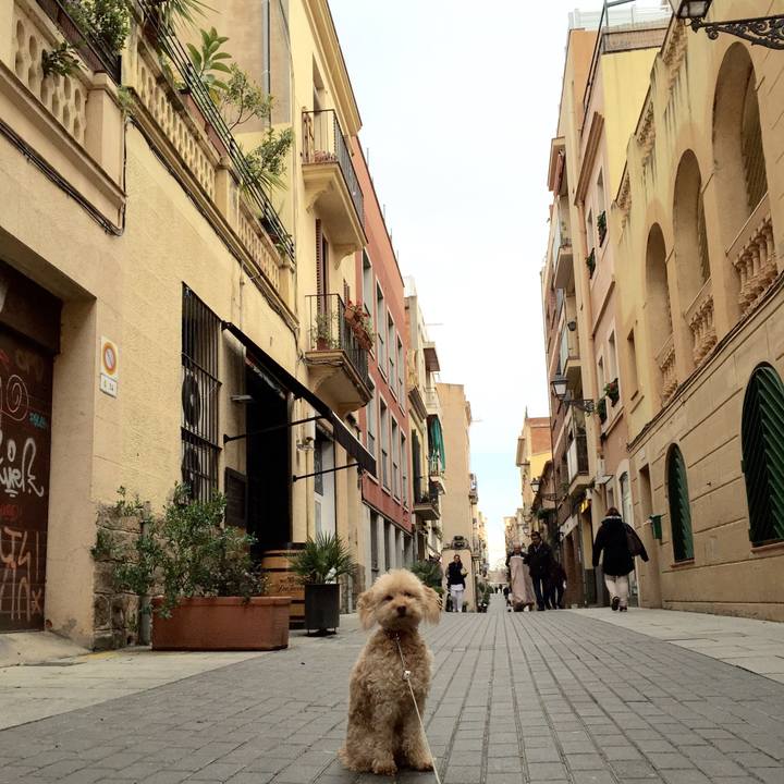 E5eb1c46 8e0b 41cf ac13 4d920d3738bf