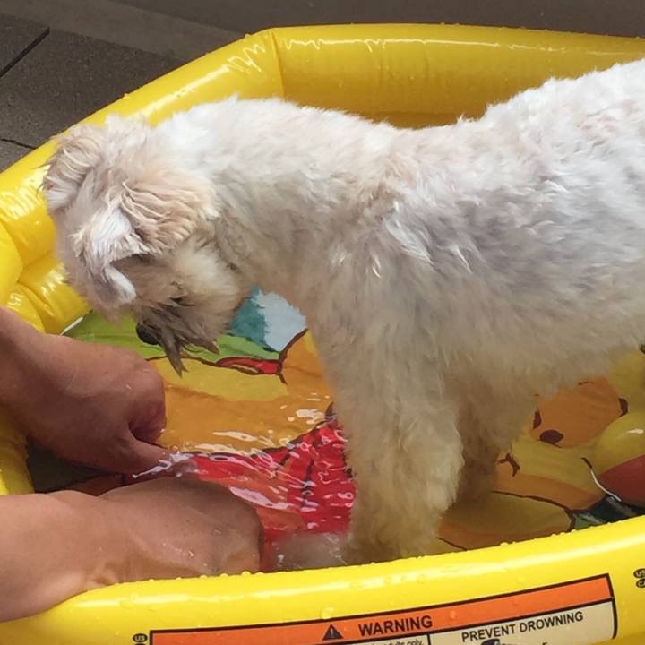 E5eb7f9e 55aa 41e9 8494 bbb3b1ee8c22