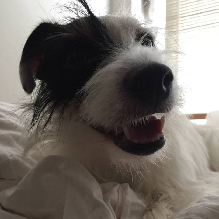 E5ebd21e 4833 4916 9464 e698e7d7506c