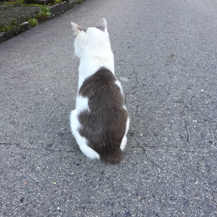 E5ec5a59 8320 4ae8 8c44 922ebd449a41