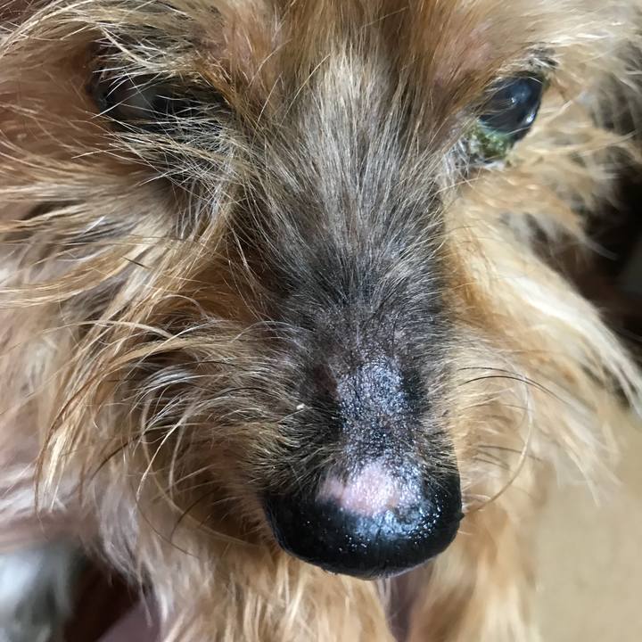 E5ecdf21 d057 4560 aa95 00d6583684e3