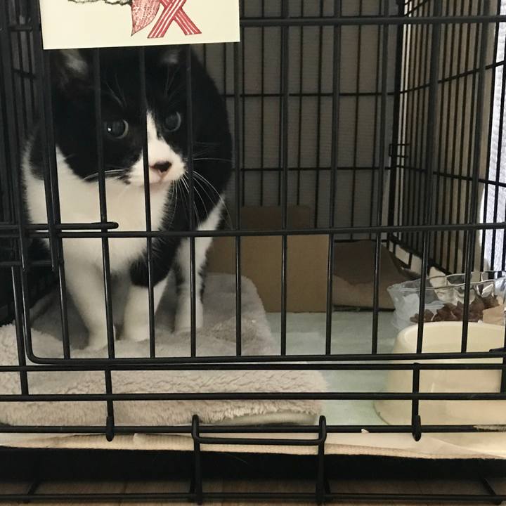 E5ed9df4 1d0d 4743 9f75 95a91e4dbdf4