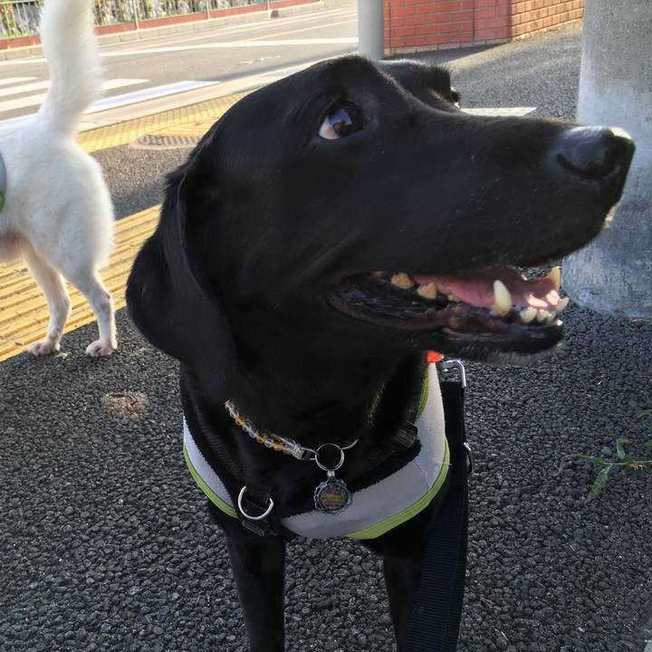 E5edbfc7 85c9 48c6 9a20 7e6f0fdecab2