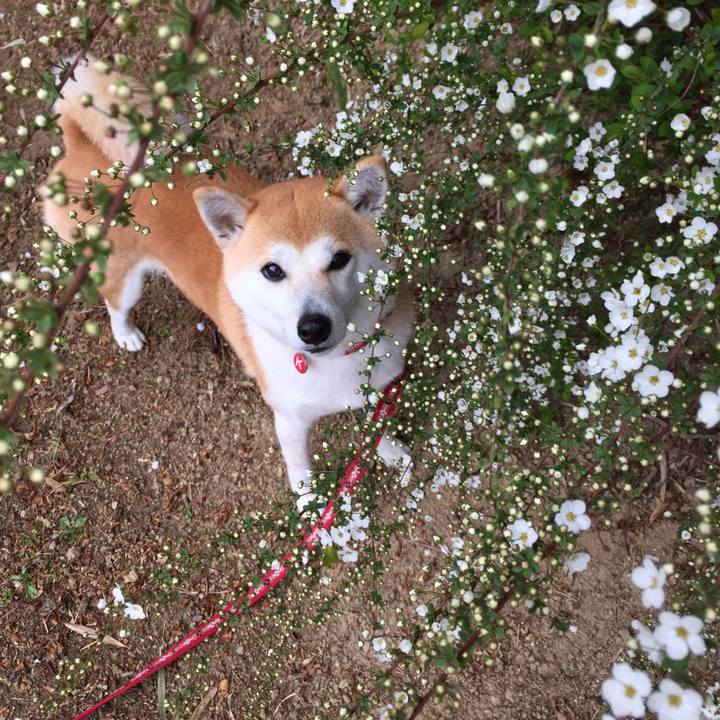 E5edd37b 572f 4e0a a397 1fc661e8a053