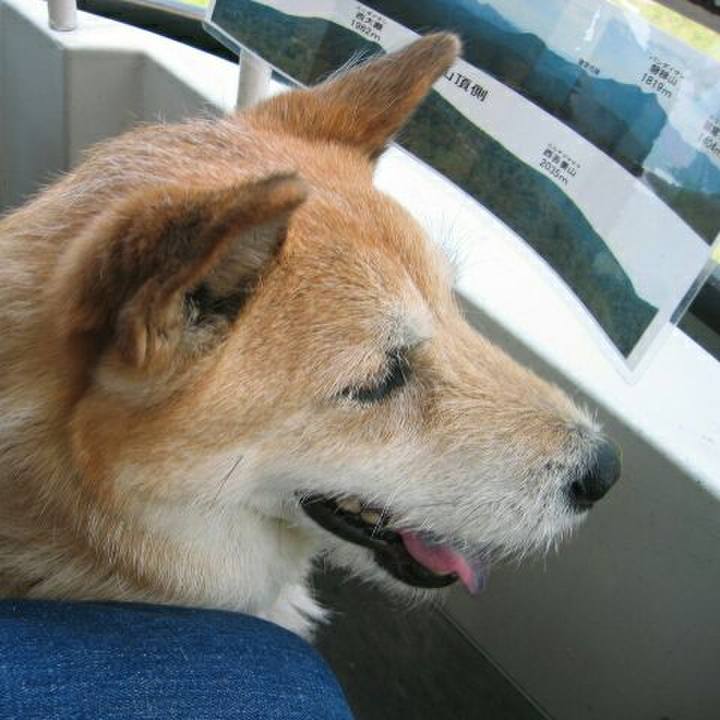 E5edf2d3 d459 4d2c bdef 9e40349ce4e4