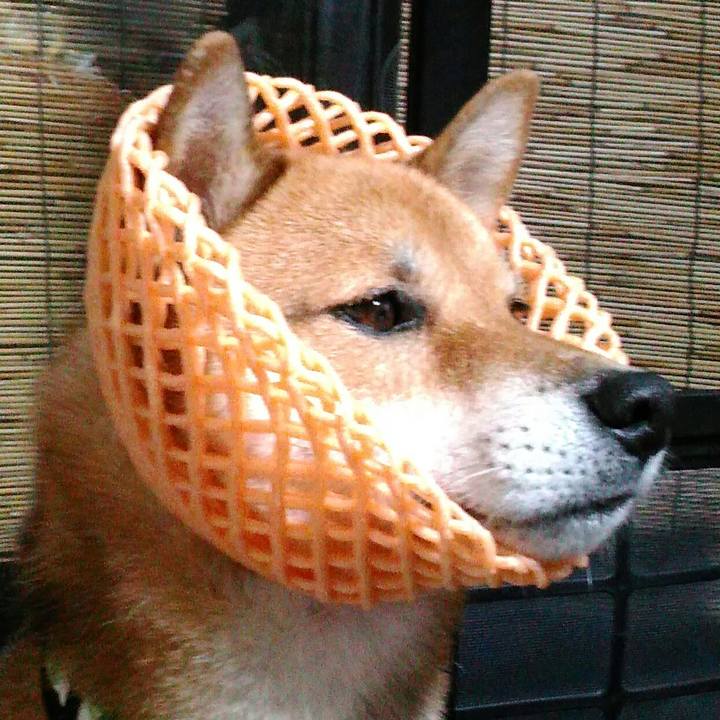 E5ee9018 933c 4f5f a196 7ff740010f65