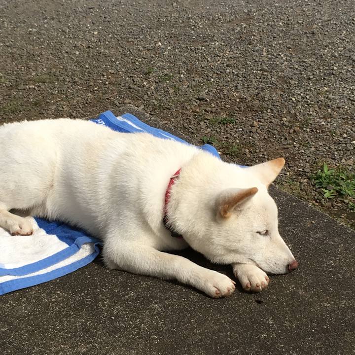 E5eef844 1ba1 4259 ba15 bf07159e7a5f