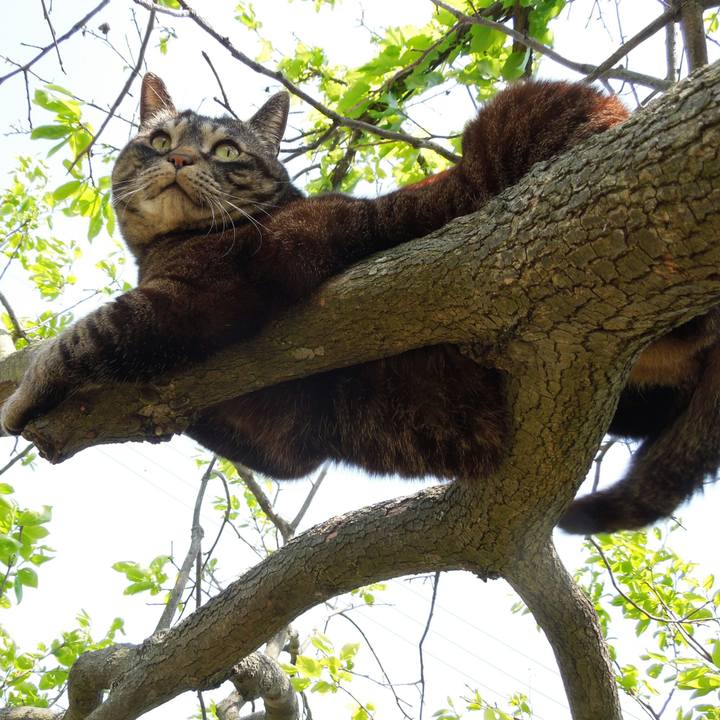 E5ef1edd 9aa5 4777 8a98 6c32d962db37