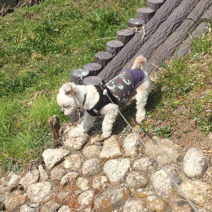 E5ef6440 9afe 4f66 8bb4 4d49a5368e50