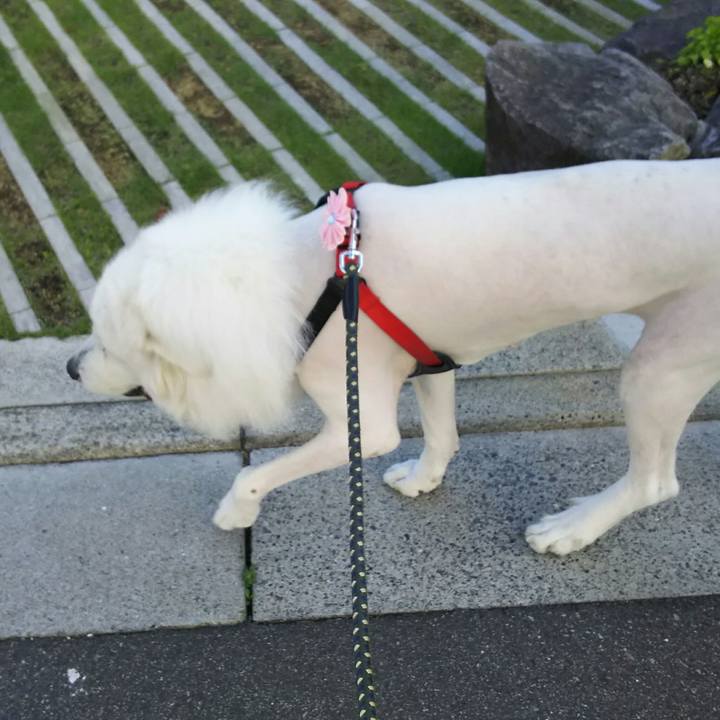 E5eff469 c31e 427e 9e89 748943282a1c