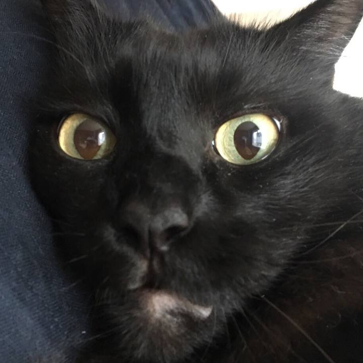 E5f05b8c 3f92 445d a76e 4bbdf8b41734