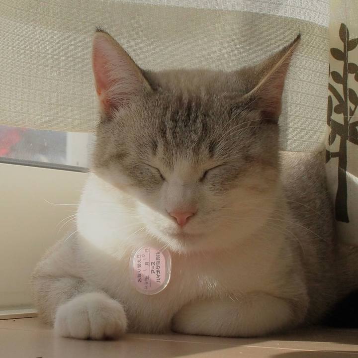 E5f0d82b e258 4e3b a003 256a615014db