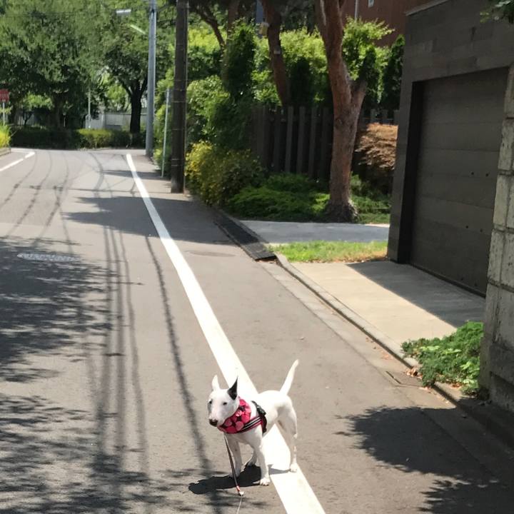 E5f18370 bf4f 46dd aea5 39d8decb72cd