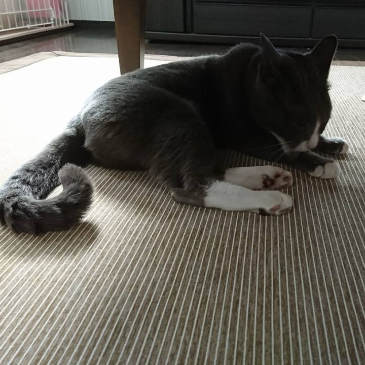 E5f1da17 05c0 44b8 9ee9 53afaad35a6c