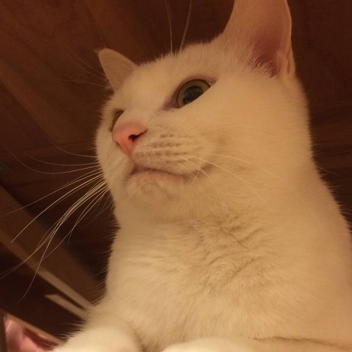 E5f1e90a 0489 410c 8d53 531b7aa58e3c