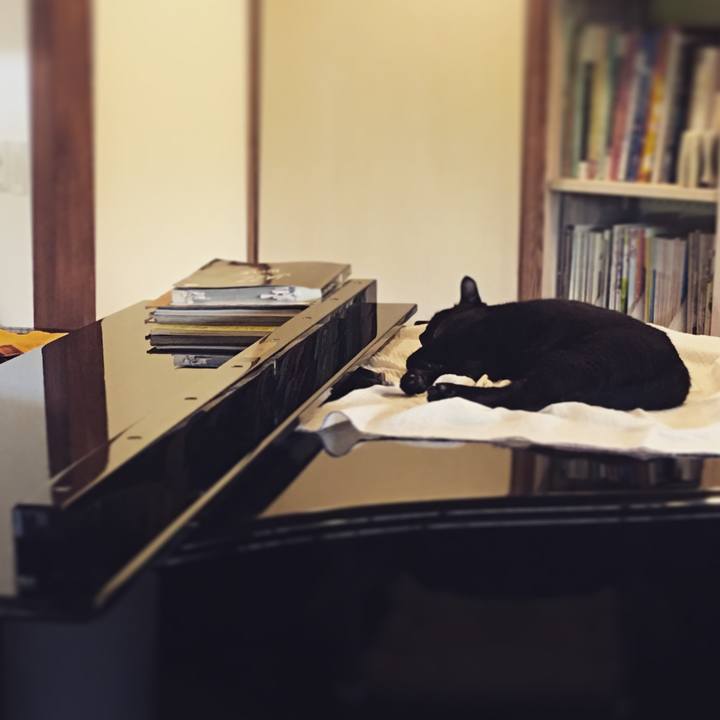 E5f212be 860a 4d74 a720 5c405b9d85a3