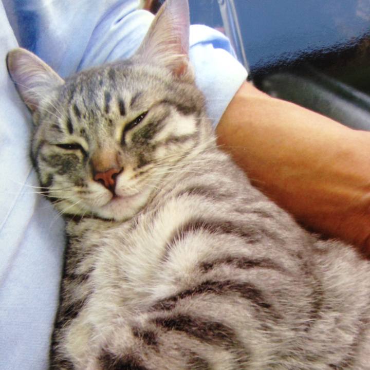 E5f2ae2b f481 49b9 8e67 a8e6a8edd1ea