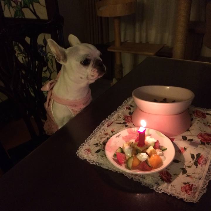 E5f2ca0e dace 40f6 bcfe 6c0cf9bcbee2