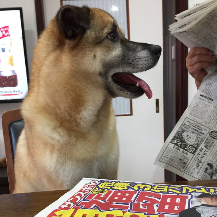 E5f30d41 9086 4d32 958c 35404d058959