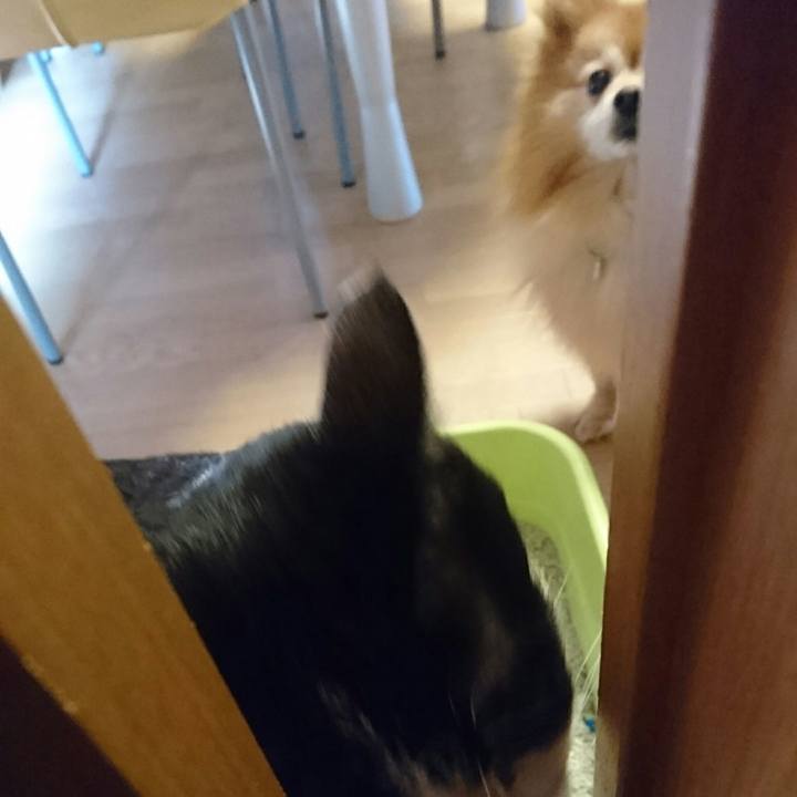 E5f360ca df3b 437d a6e9 c40c48d43858