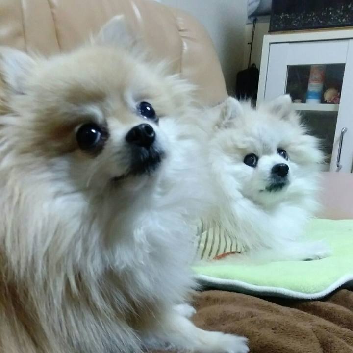 E5f398c5 c5d9 4d09 b31d e5203e1dec48