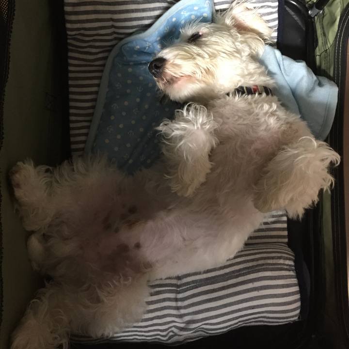 E5f4e964 7136 4fa4 87d6 706471a26ab0