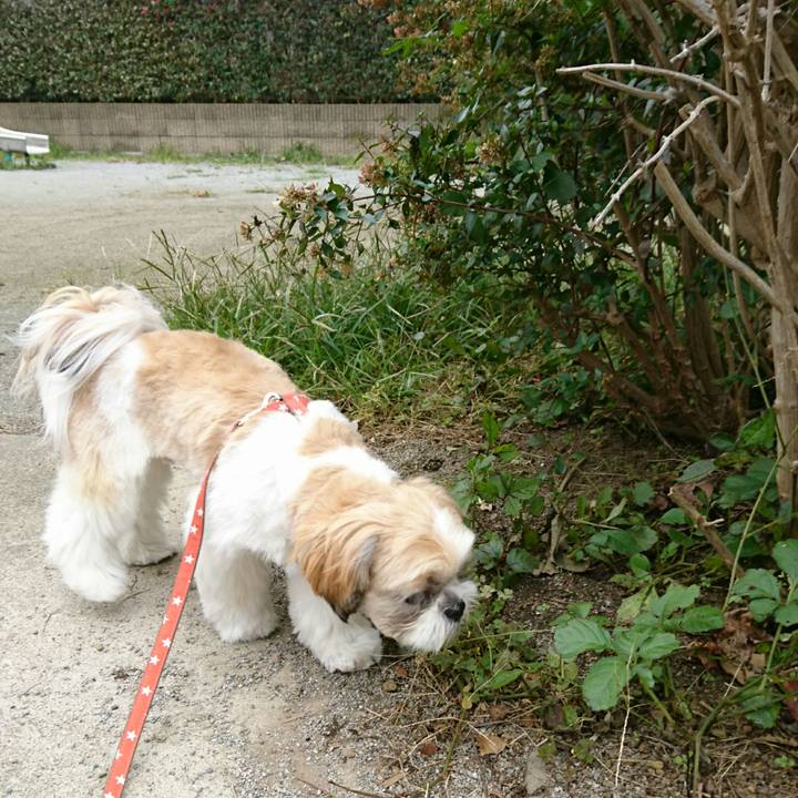 E5f5c35f 5d9e 42fe 8e81 e4e8b9000e72