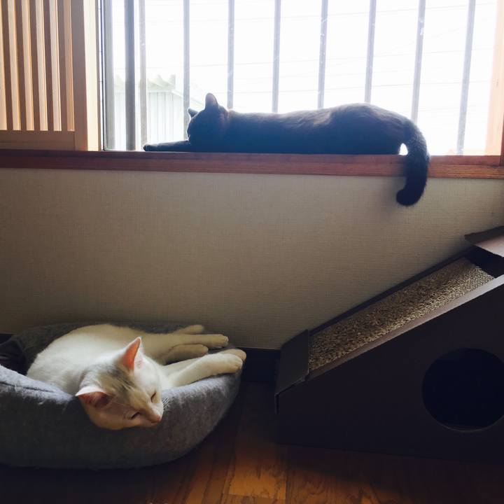 E5f5d559 d78f 46f8 9363 638a557ba1fb