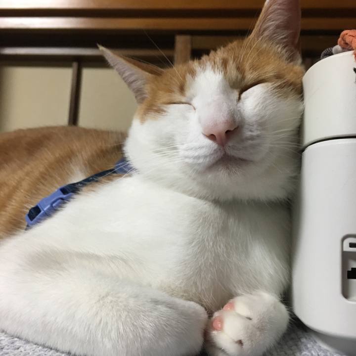 E5f5e571 c283 4ae0 98f2 9d586f07e523