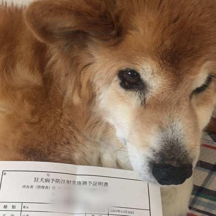 E5f78f5a 8fd9 40cf a615 e627c06404f8