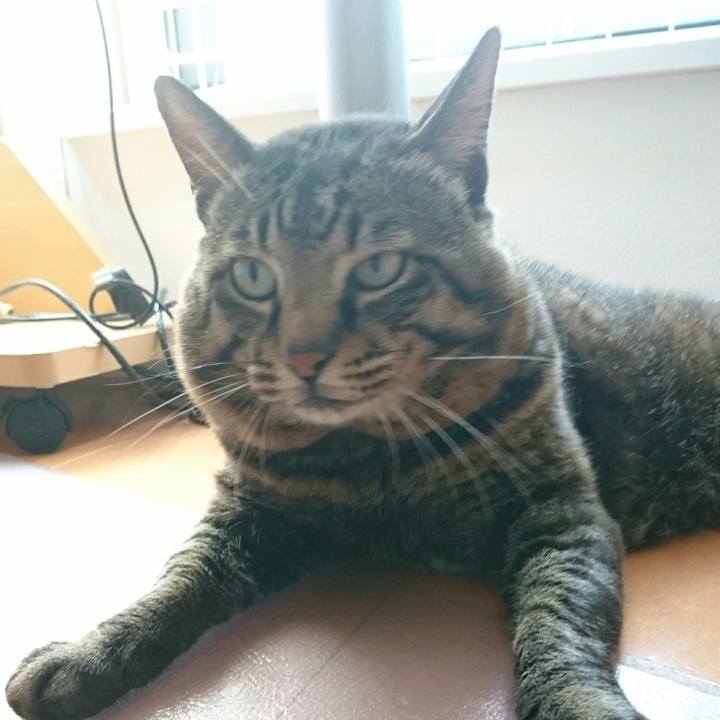 E5f79c6e 497a 4514 ab1d 6b773c16d92e