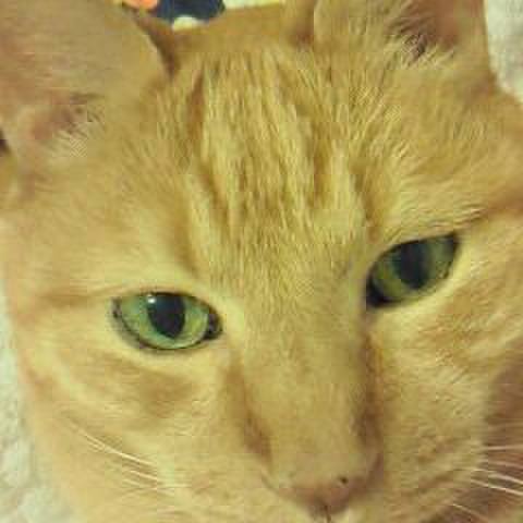 E5f82560 c551 49cb a62b 30052470b221