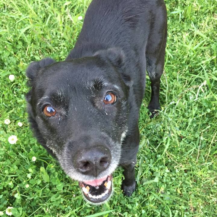 E5f840cd 221c 4640 97ec 9a290ada1db0