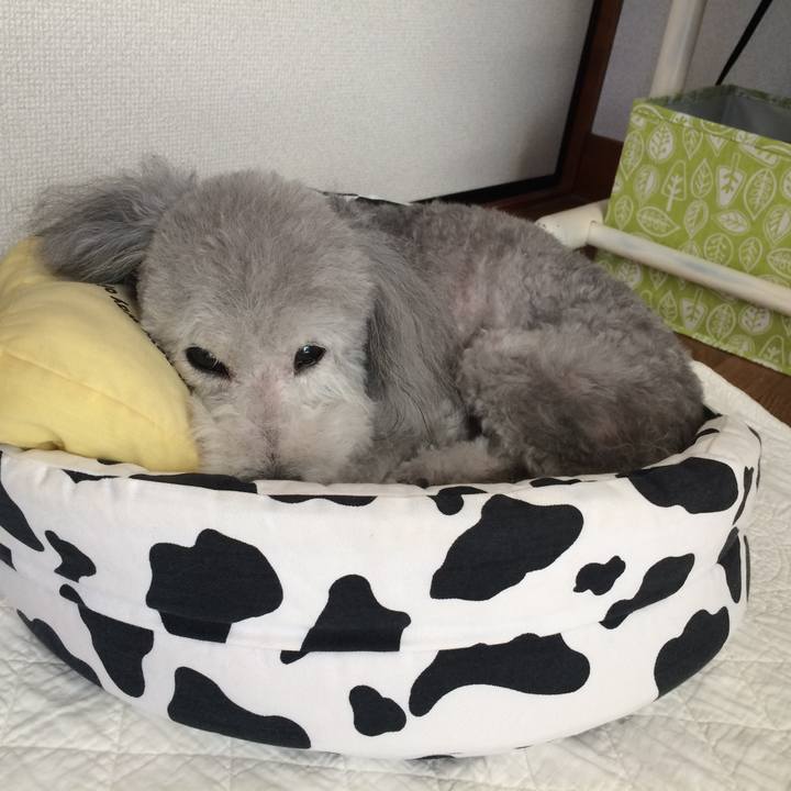 E5f94bc3 8104 4bbf 938c e94bccd143bd