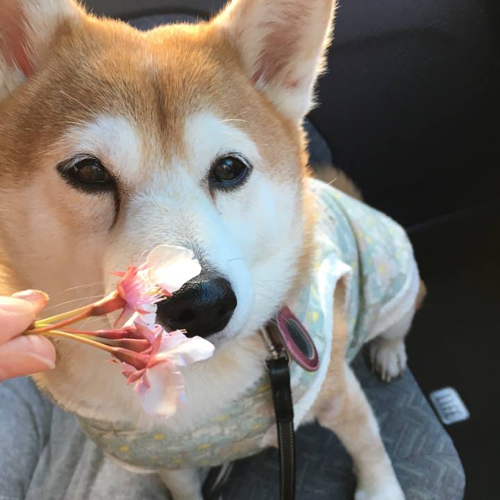 E5fa0def b993 496c a23d 218691214e7b