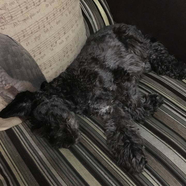 E5fa3818 a6f0 4306 a755 9ac535cfe7e4