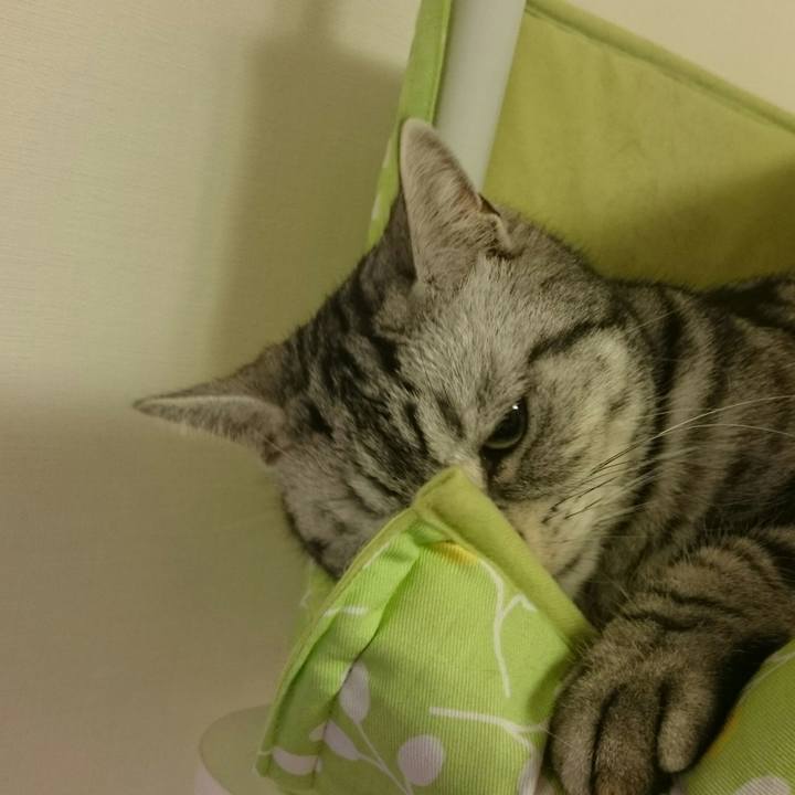 E5fa6a23 39f6 413a 8b32 9e1a6f33280a