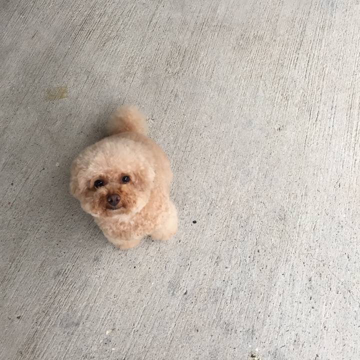 E5faac6f af28 4064 a18c a85906e27968