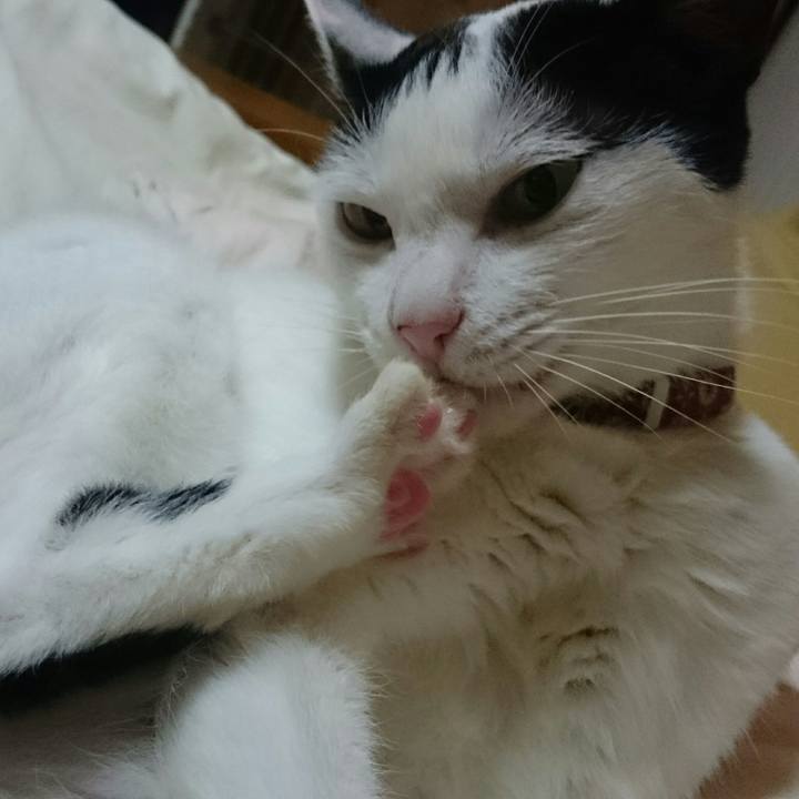 E5fab106 6700 4901 b2e1 d298d8808fba