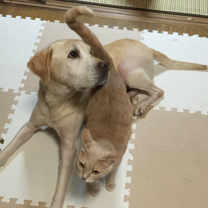 E5fab401 62b4 4698 945a 63c3e38fff38