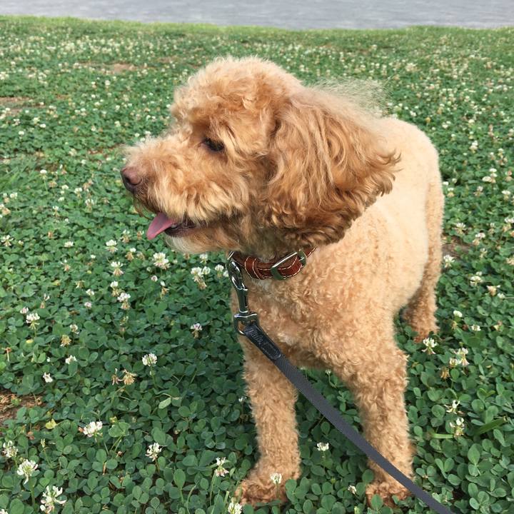 E5fb2ae1 f0f7 4439 8f6a f19ec65927f8