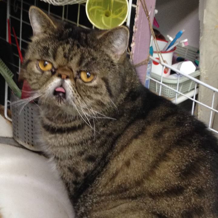 E5fb6539 74dd 4c84 a271 89f7616db78f